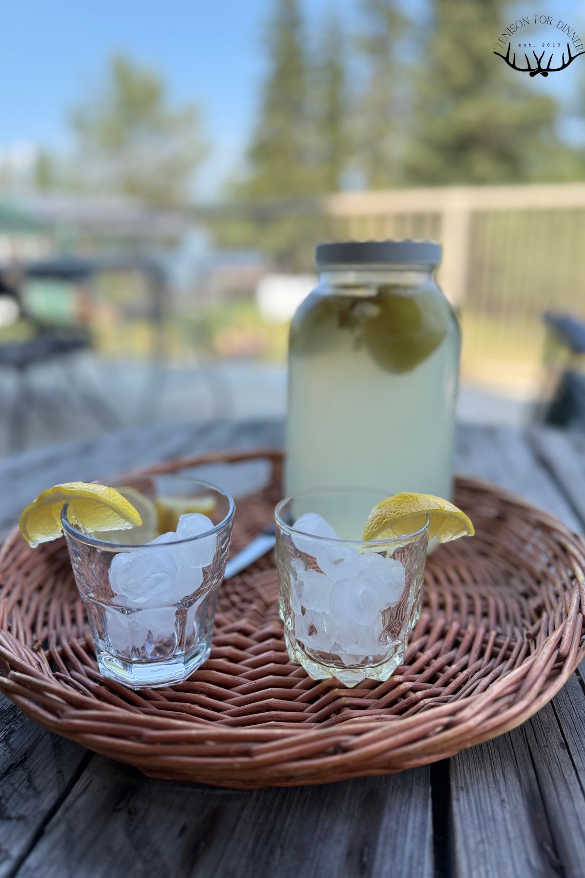 Homemade ginger bug lemonade.