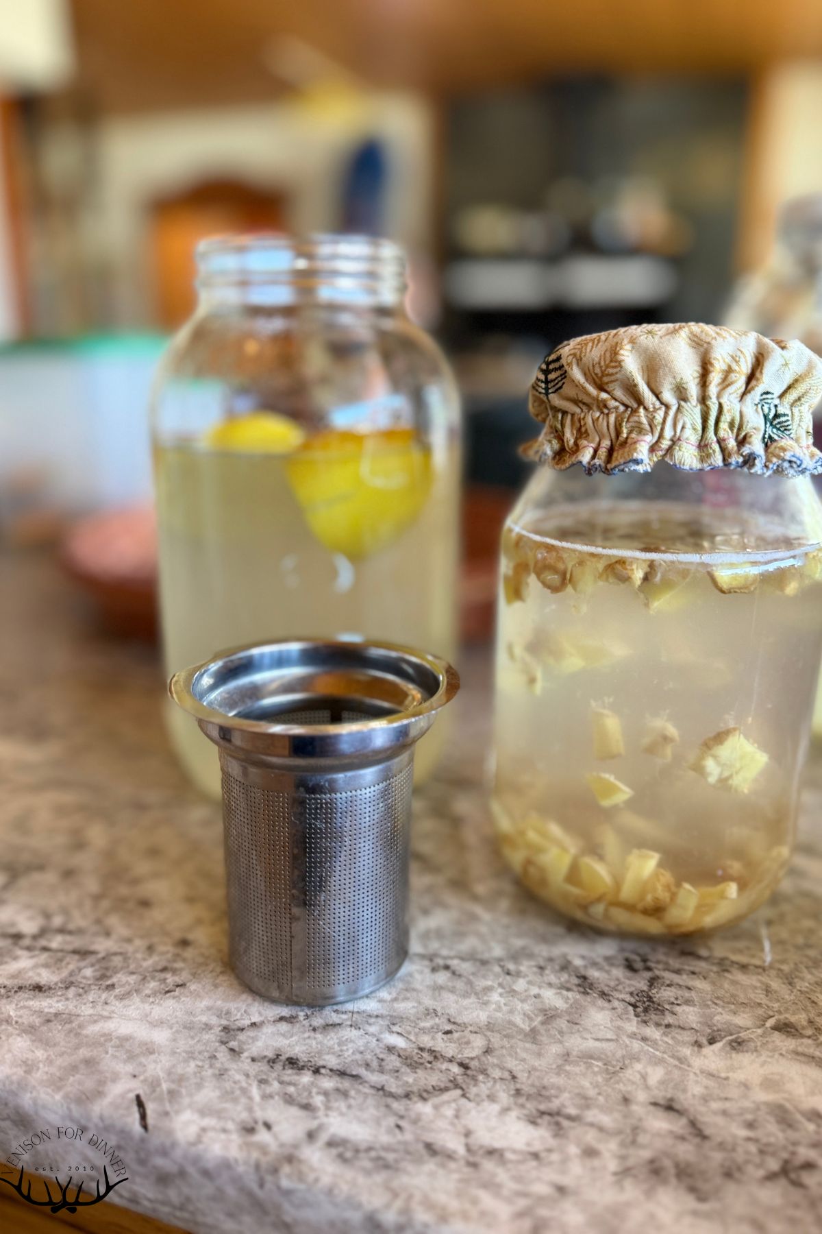 How to make ginger bug lemonade.