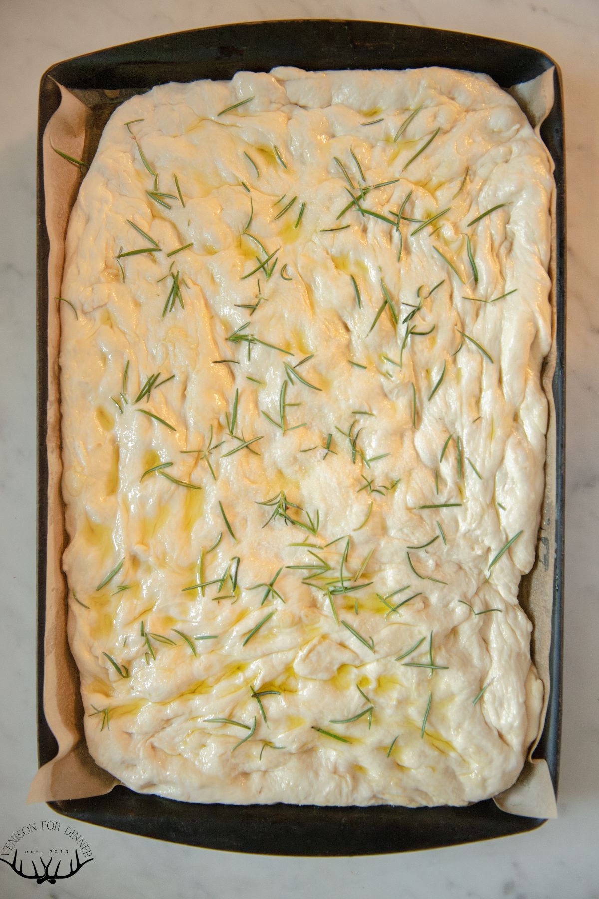 Herbed and dimpled focaccia dough in a pan.