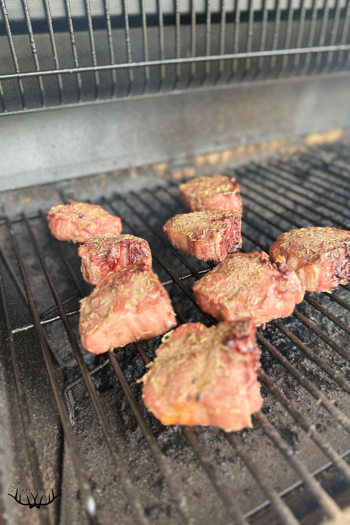 Bone-in lamb chops on the rack of a Traeger.