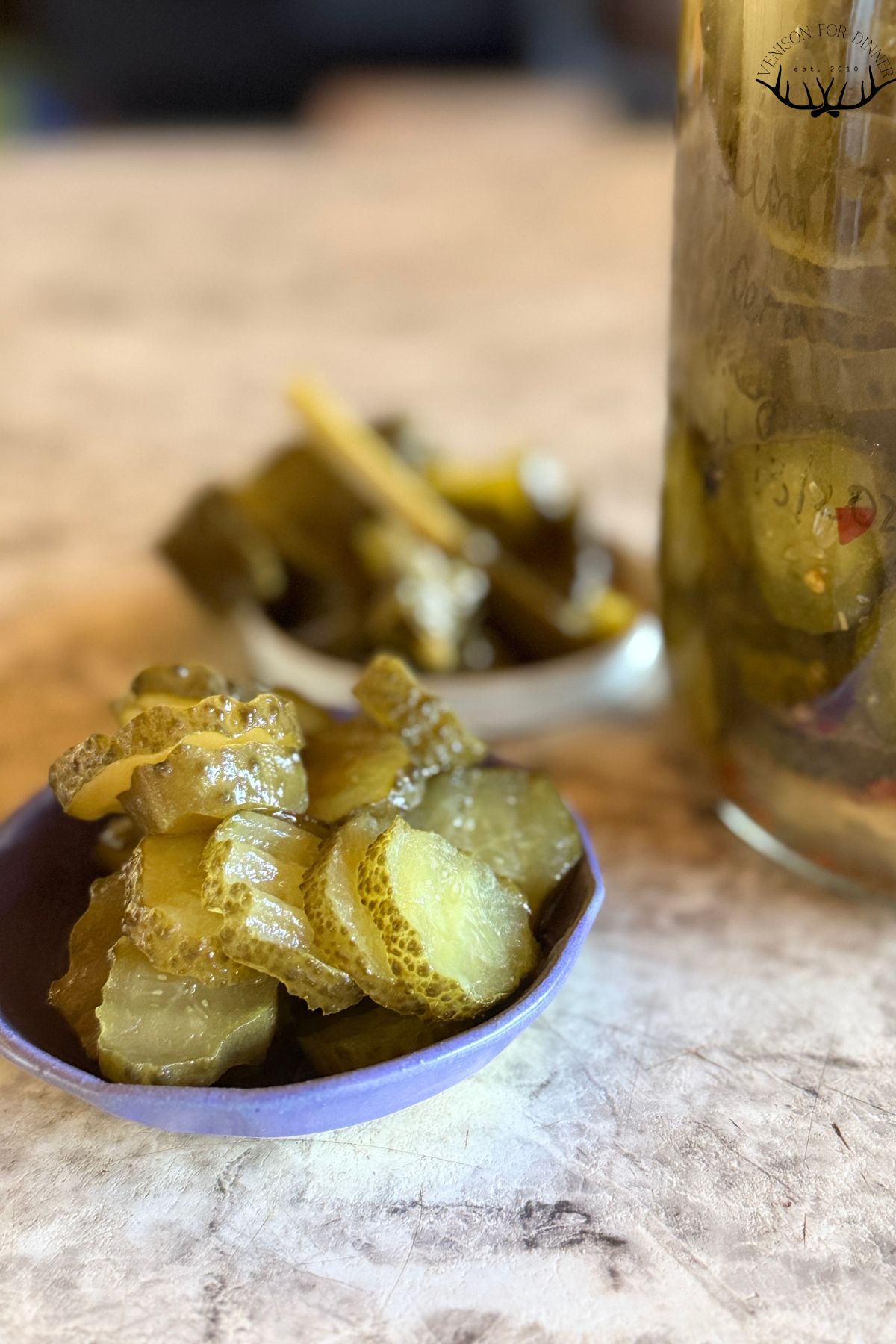 Small bowl of probiotic pickle slices.