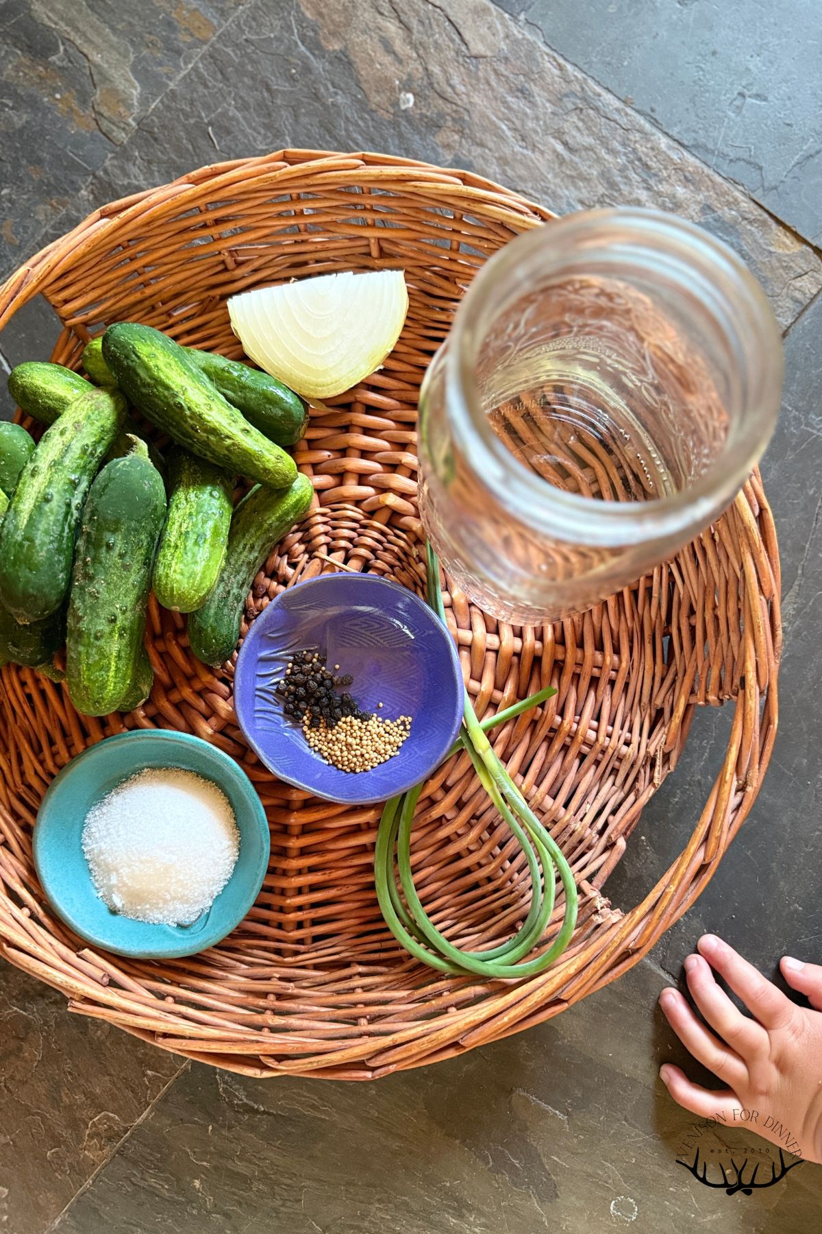 Ingredients to make probiotic pickles.