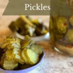 Small bowl of probiotic pickle slices.