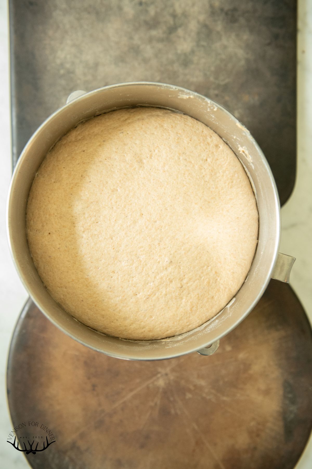 Proofed pizza dough in a bowl.