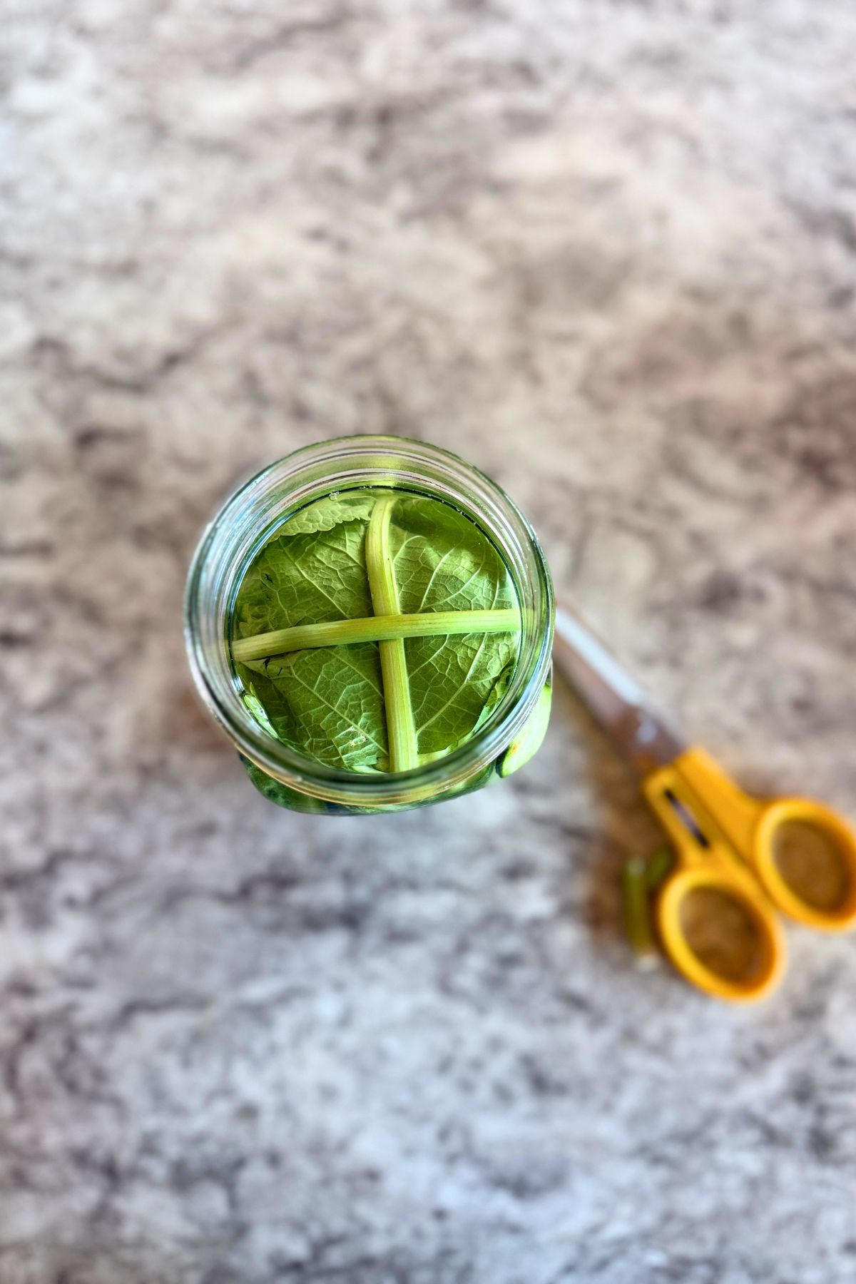 Leaves weighting down pickles in a jar.