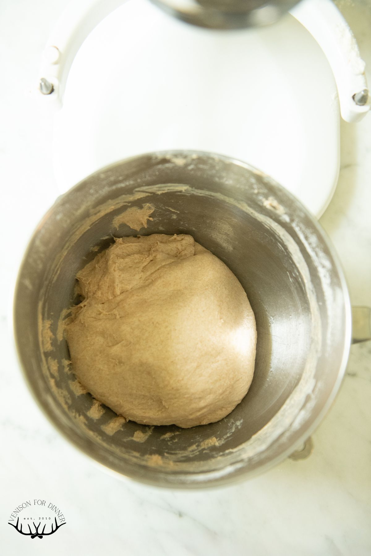 Ball of pizza dough to proof.