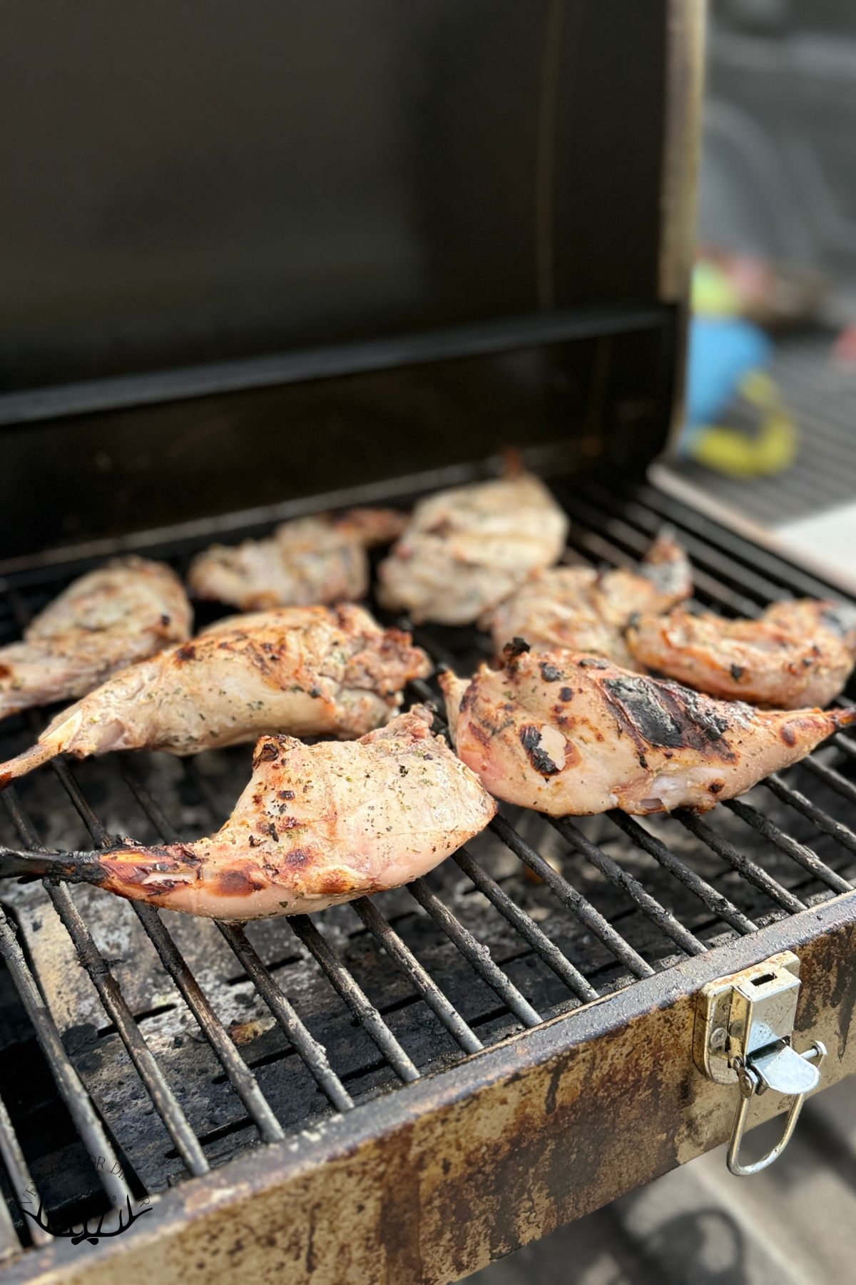 Marinated rabbit parts on the grill.