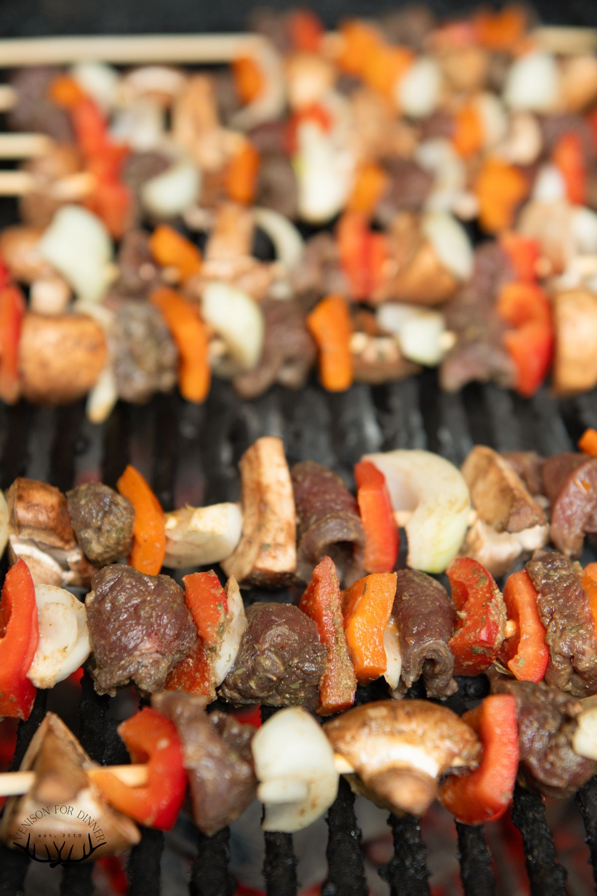 Marinated and grilled venison kabobs.