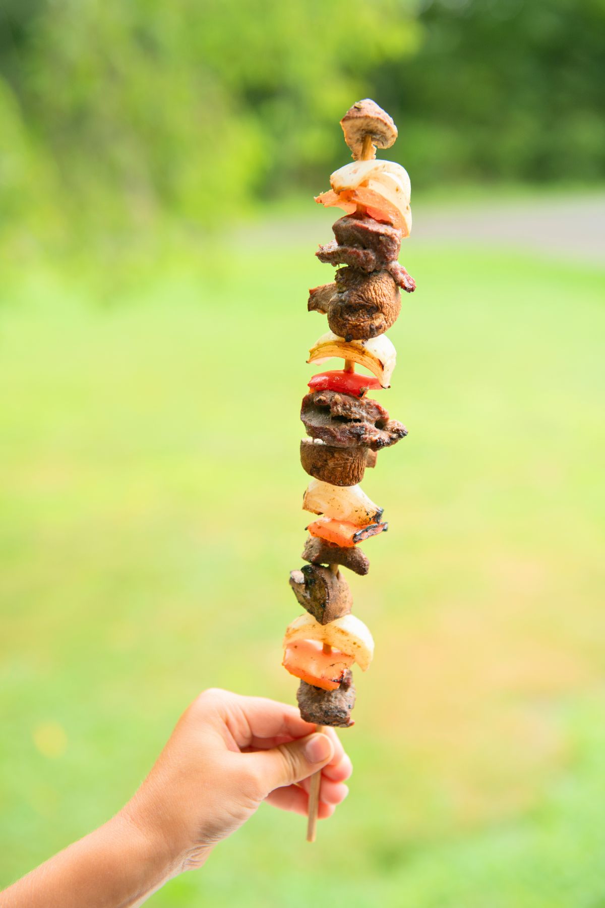 Hand holding a single venison kabob.