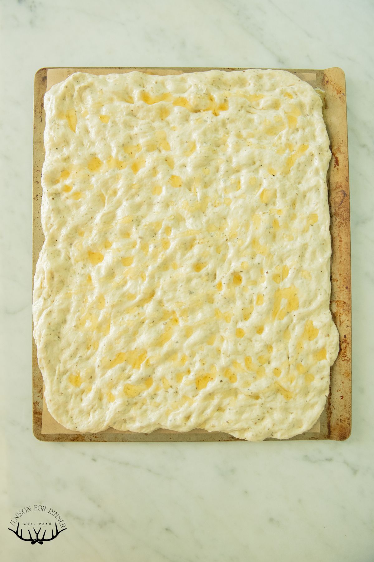 Focaccia dough pressed out in a rectangle.