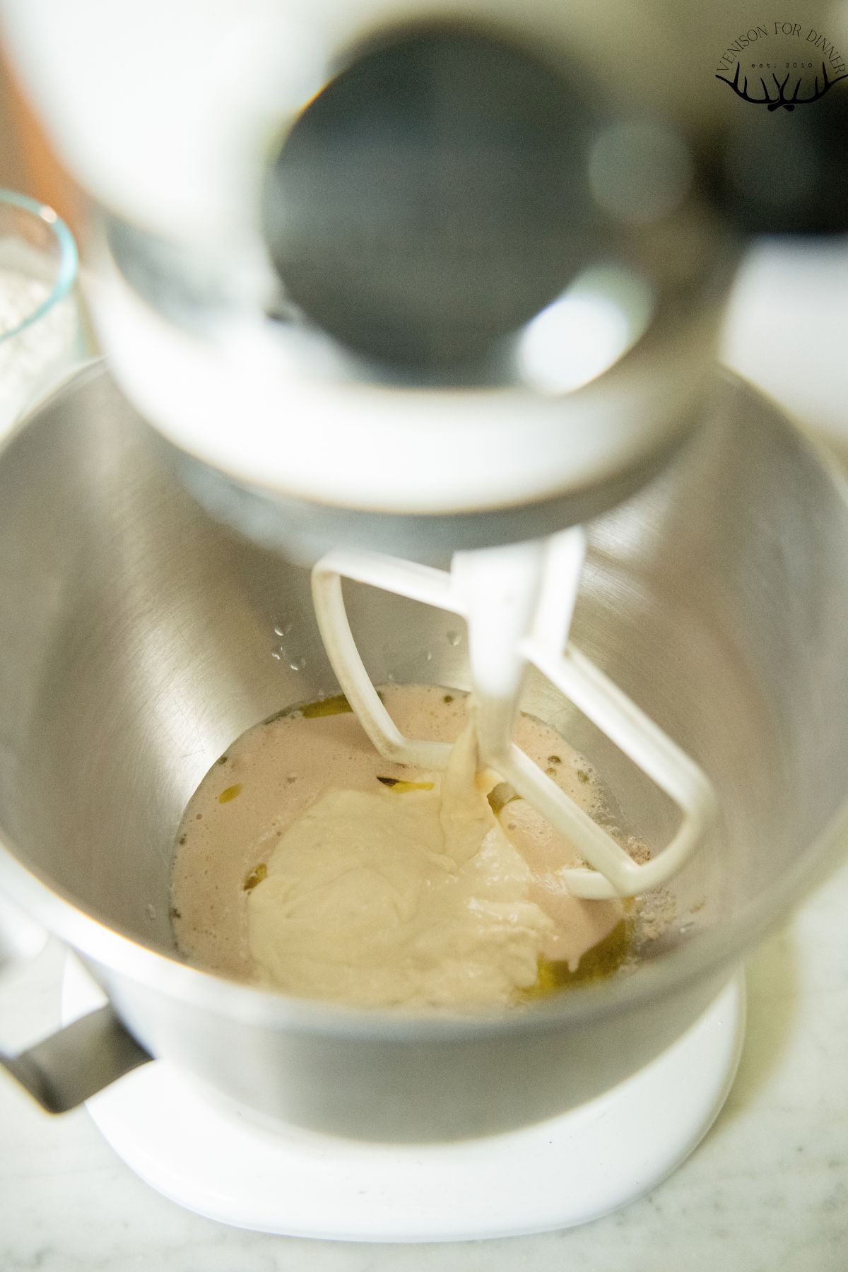 Yeast and sourdough discard in a stand mixer.