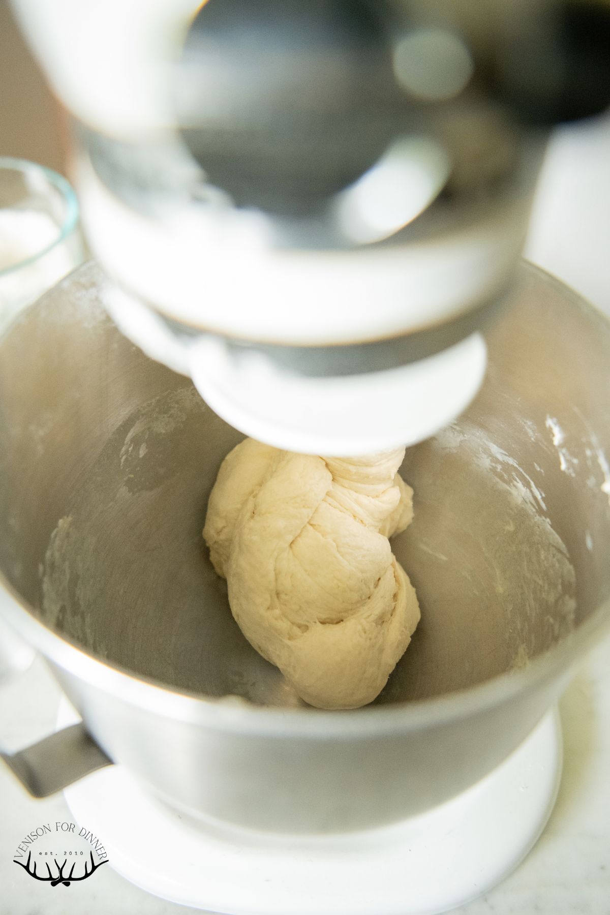 Dough hook on a ball of pizza dough.