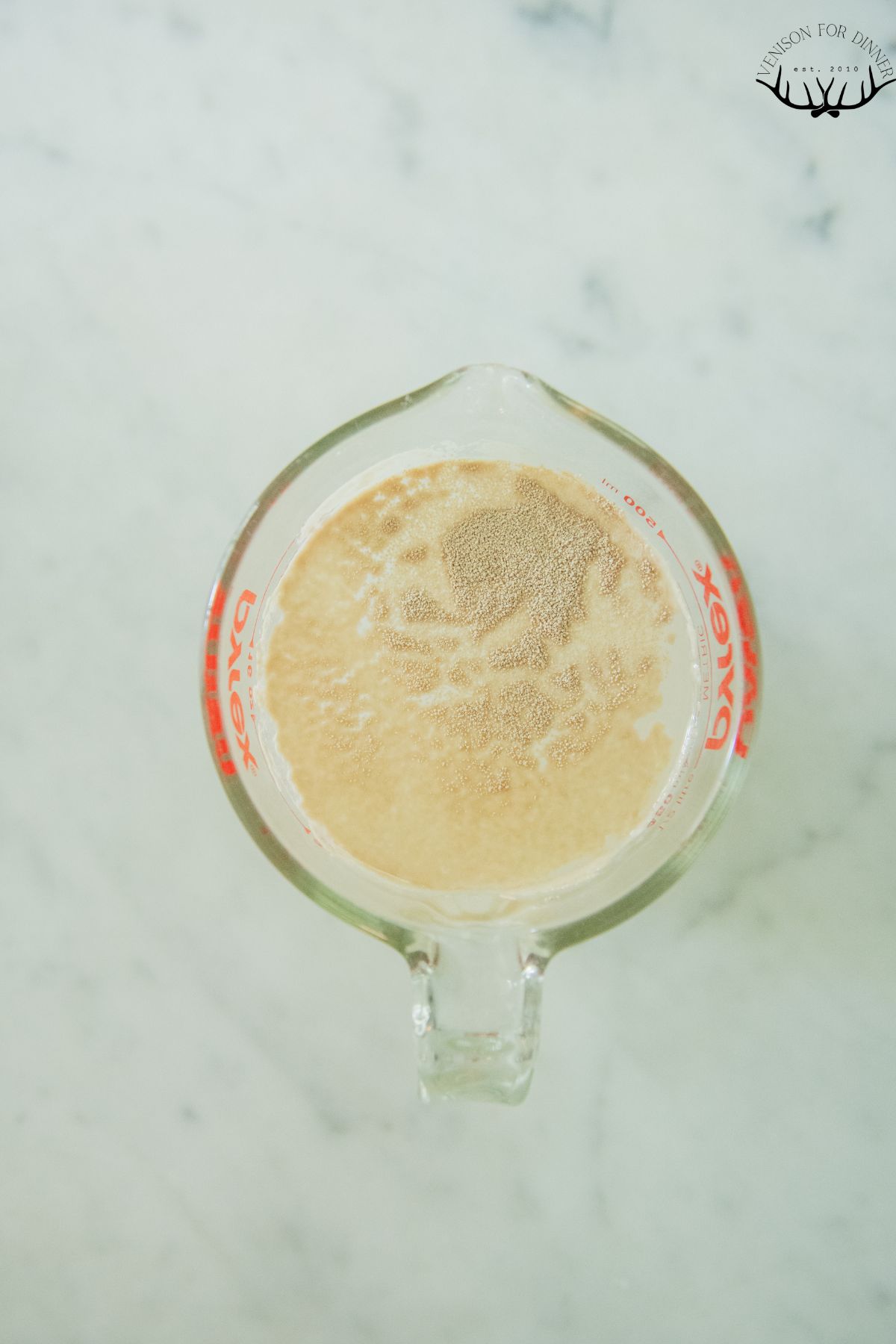 Yeast blooming in a measuring cup.