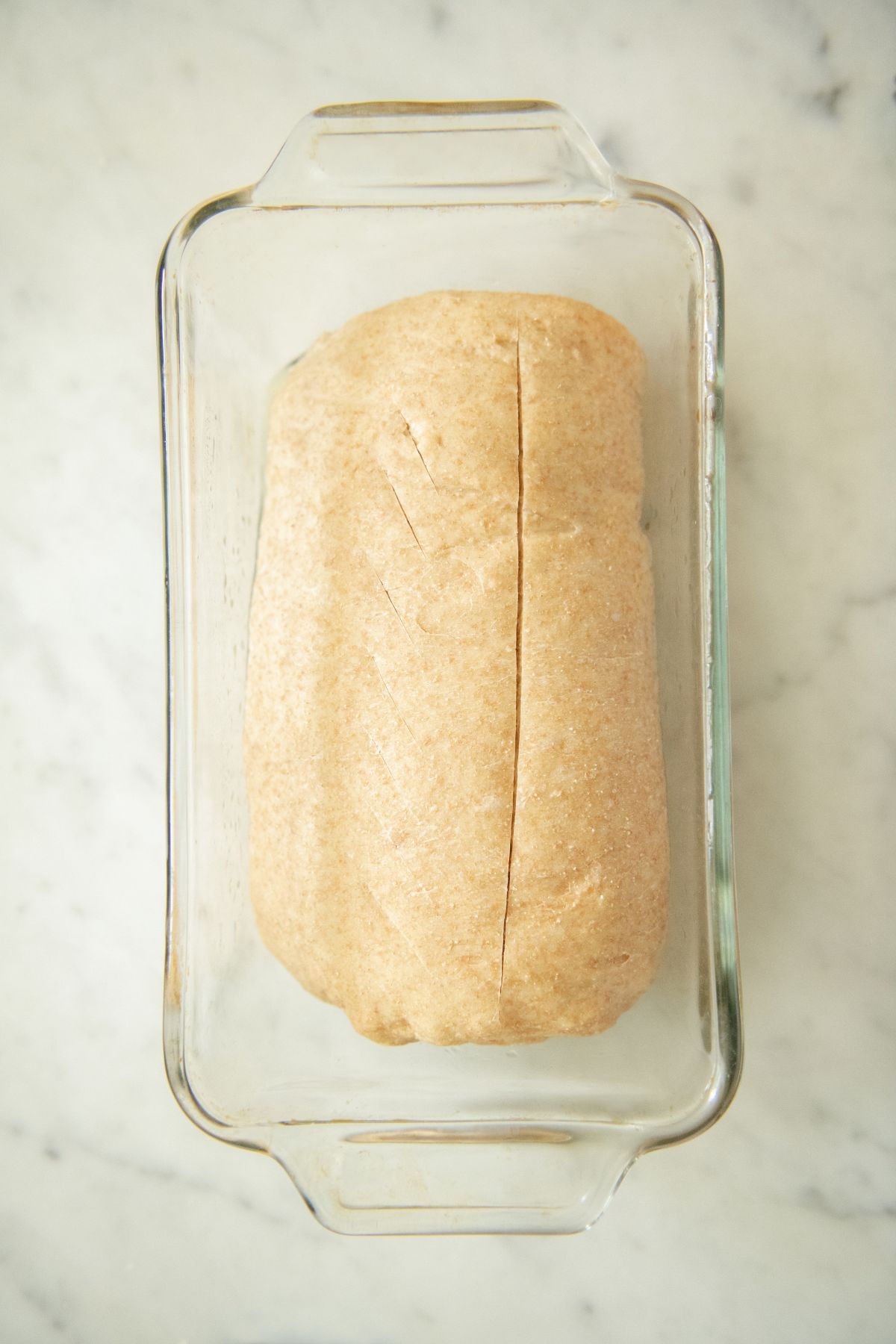 Scored whole grain sourdough loaf.