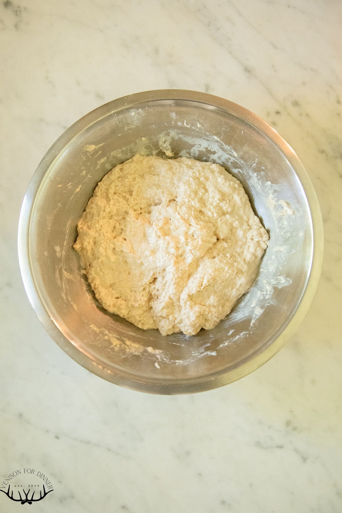 Sourdough in a mixing bowl.