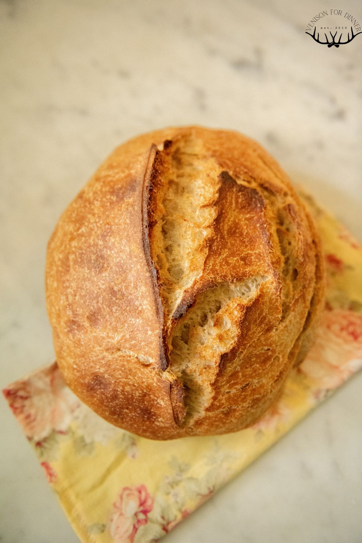 Loaf of sourdough made with spelt flour.