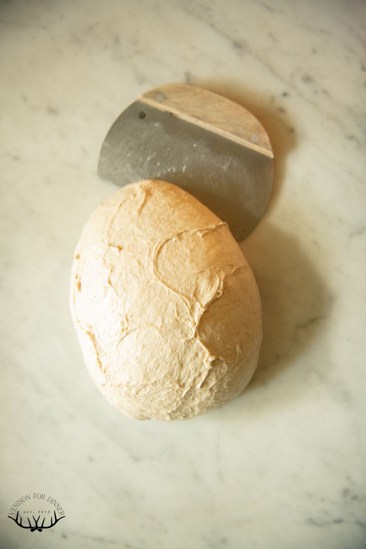 Scraping sourdough loaf into shape.