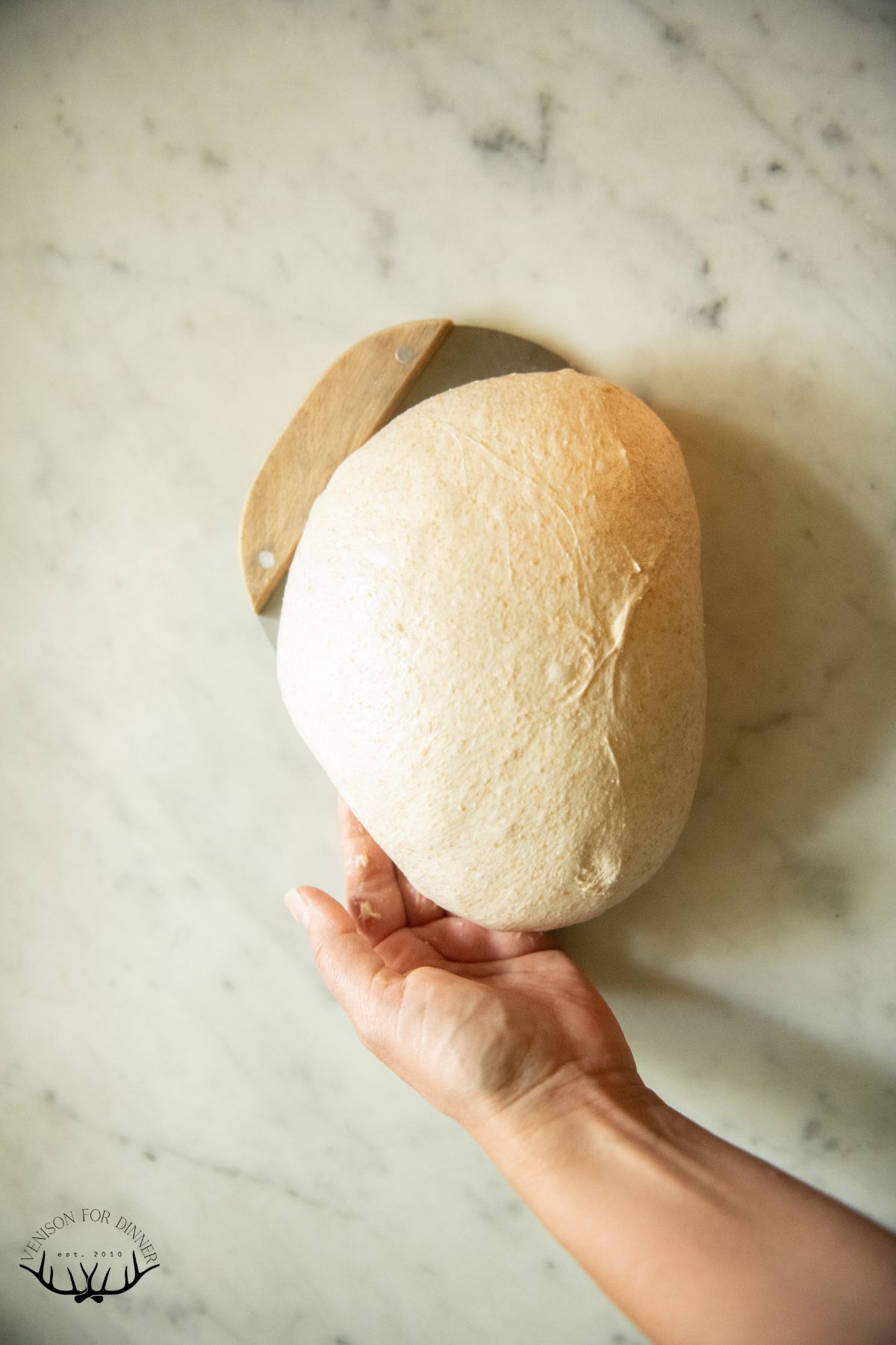 Smoothly pulled loaf of spelt sourdough.