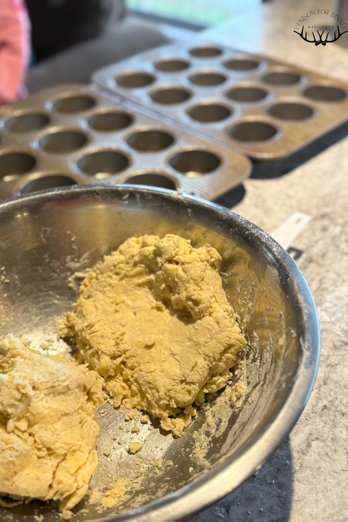 Dough for making butter tarts.