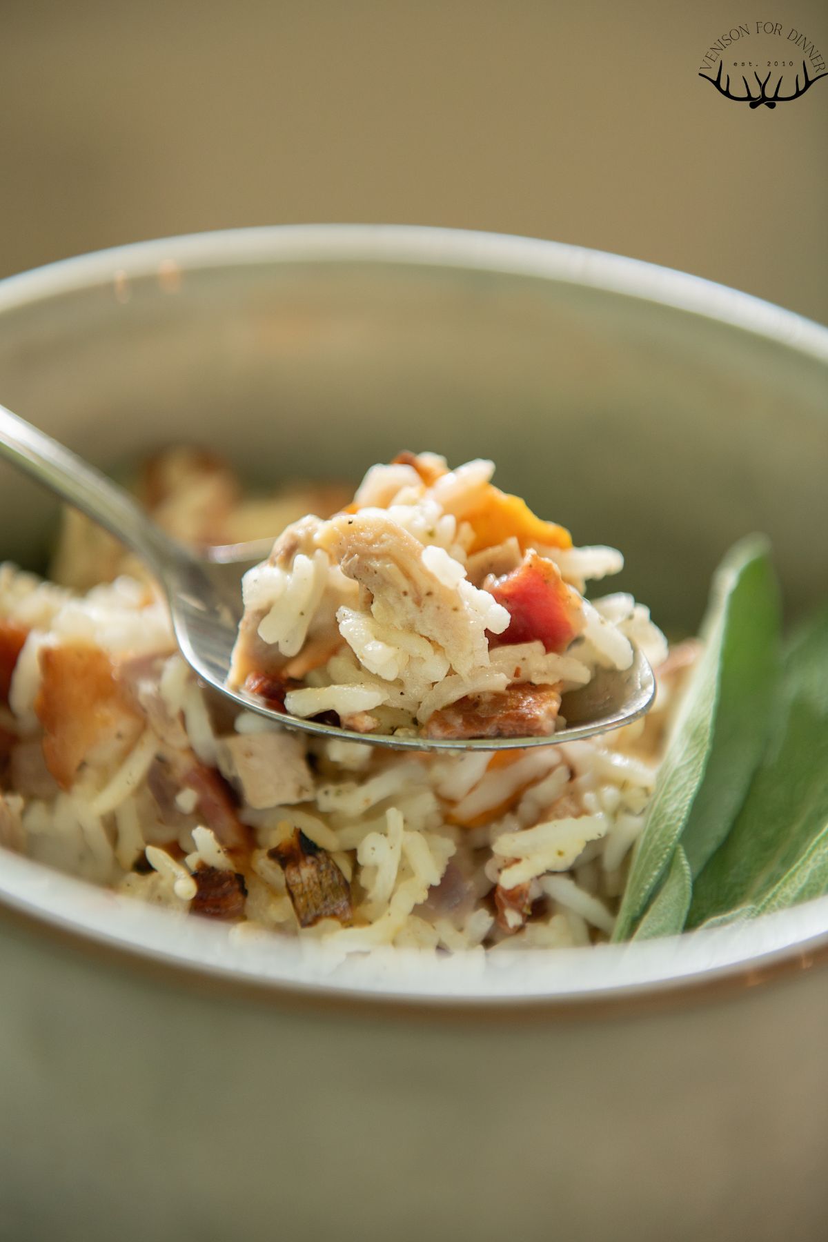 Spoonful of turkey casserole with rice.