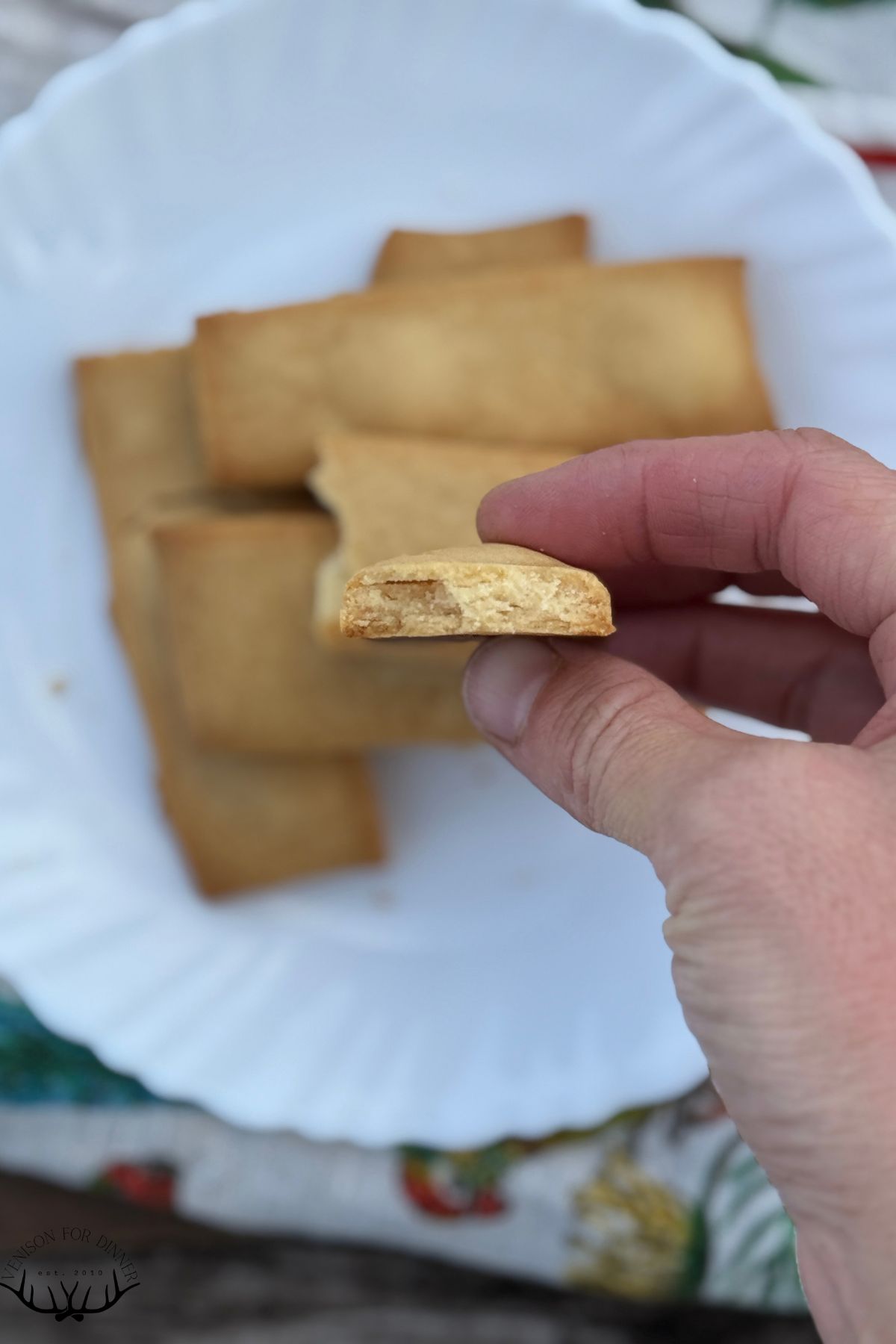 A bitten shortbread cookie.