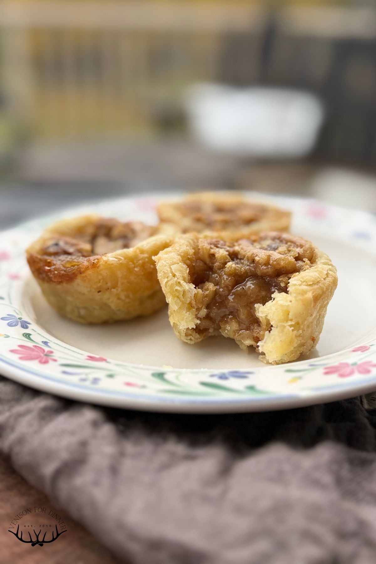 Canadian butter tarts with walnuts.