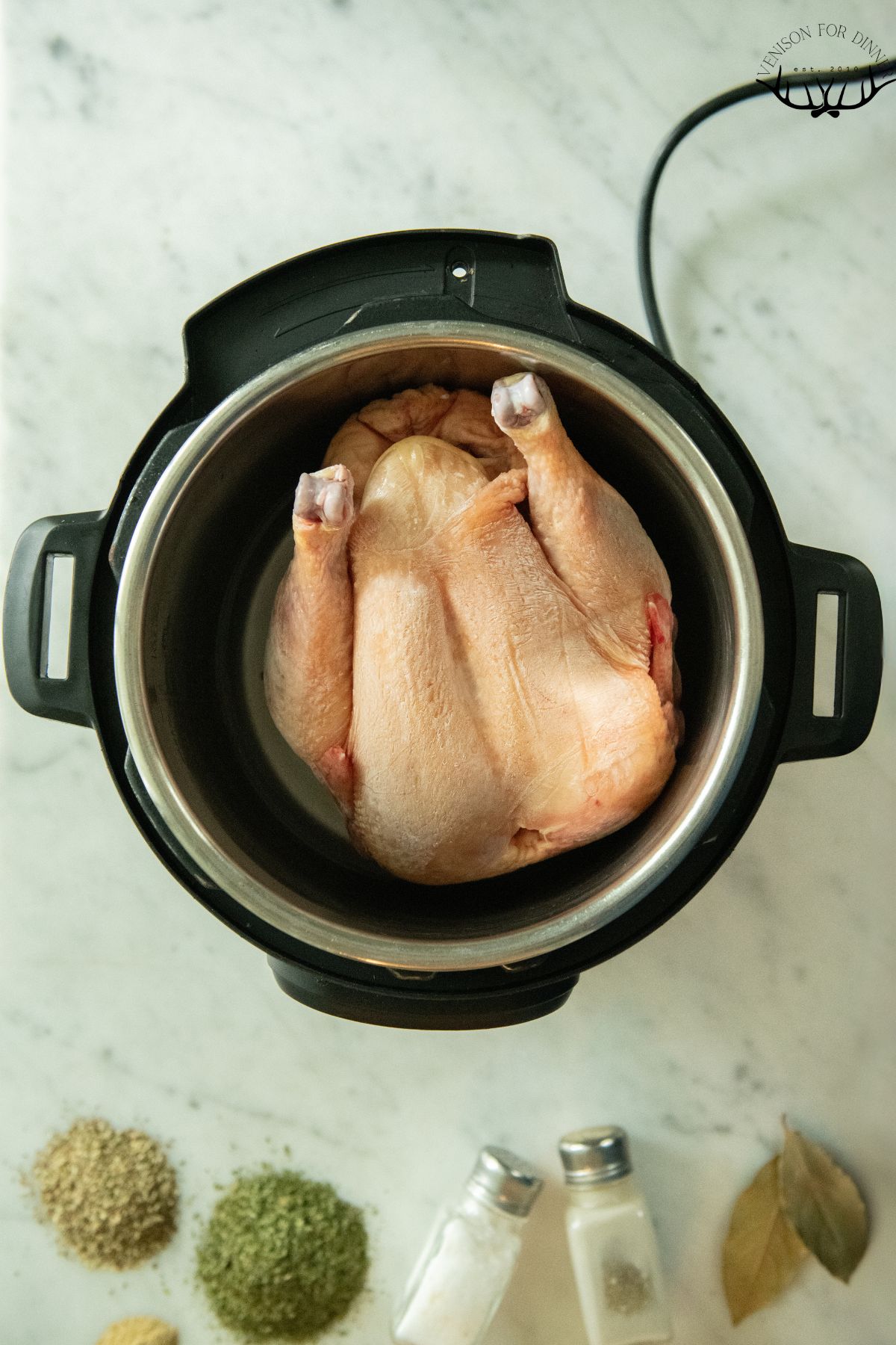 Raw whole chicken in an instant pot.